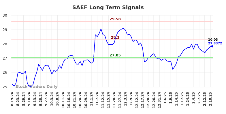 SAEF Long Term Analysis for February 19 2025