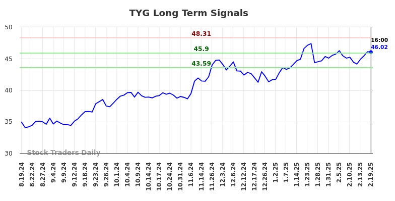 TYG Long Term Analysis for February 20 2025