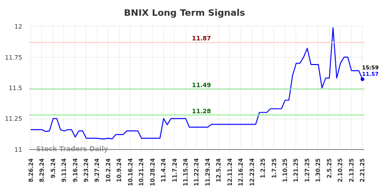 BNIX Long Term Analysis for February 24 2025