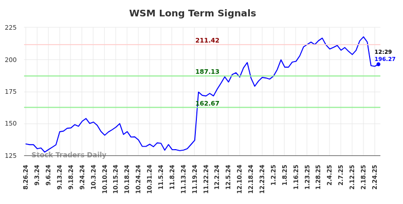 WSM Long Term Analysis for February 25 2025