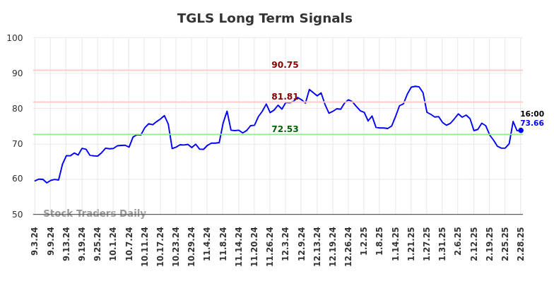 TGLS Long Term Analysis for March 2 2025