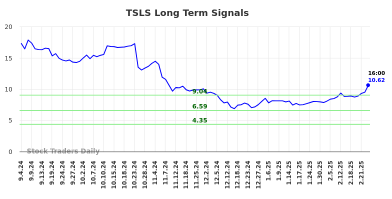 TSLS Long Term Analysis for March 2 2025