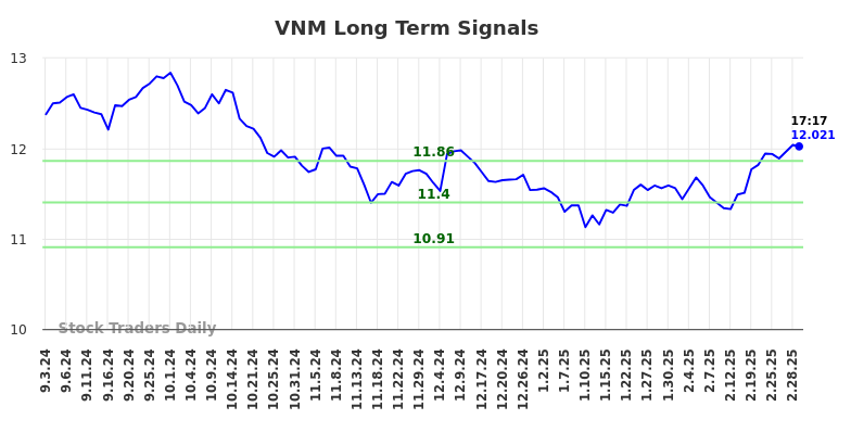 VNM Long Term Analysis for March 3 2025 VNM Long Term Analysis for March 3 2025