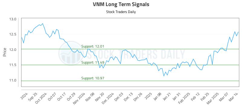 VNM Long Term Analysis for March 14 2025 VNM Long Term Analysis for March 14 2025