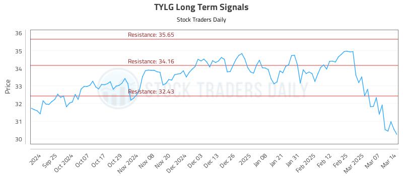 TYLG Long Term Analysis for March 14 2025