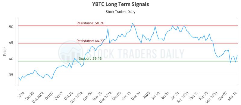 YBTC Long Term Analysis for March 15 2025