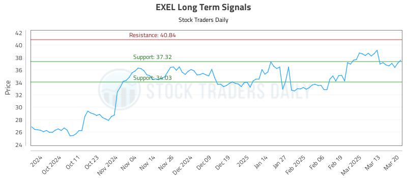 EXEL Long Term Analysis for March 20 2025