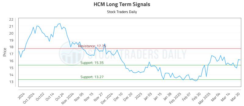 HCM Long Term Analysis for March 21 2025