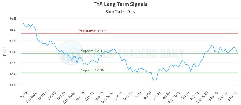 TYA Long Term Analysis for March 24 2025