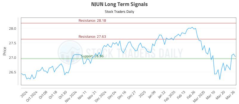 NJUN Long Term Analysis for March 27 2025