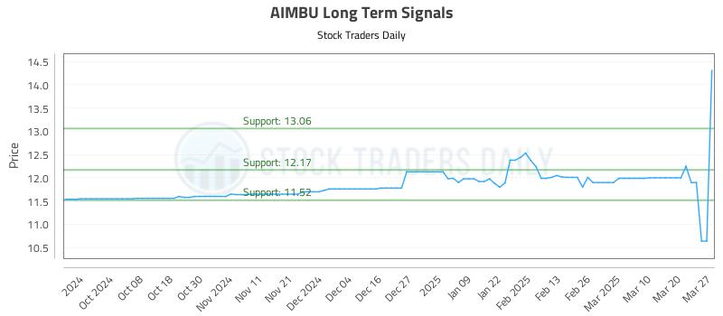 AIMBU Long Term Analysis for March 27 2025