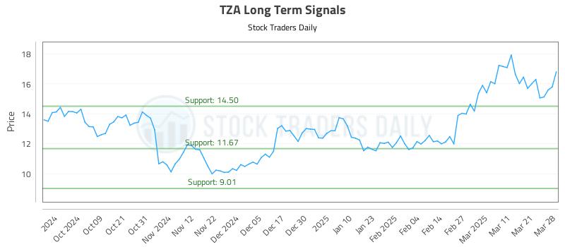TZA Long Term Analysis for March 29 2025