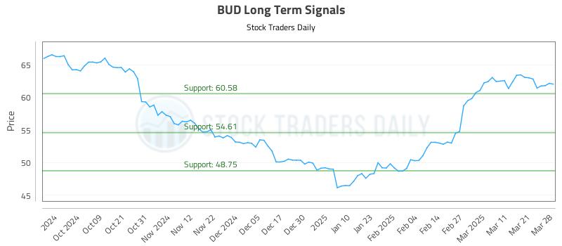 BUD Long Term Analysis for March 29 2025