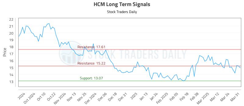 HCM Long Term Analysis for March 31 2025