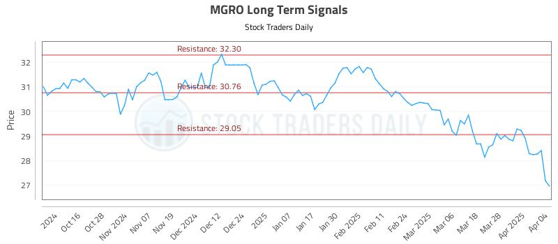 MGRO Long Term Analysis for April 6 2025
