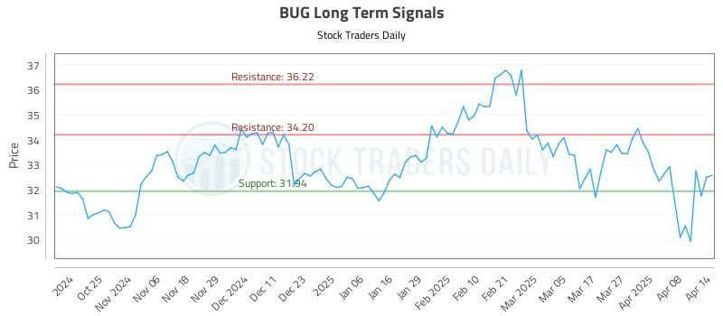 BUG Long Term Analysis for April 15 2025