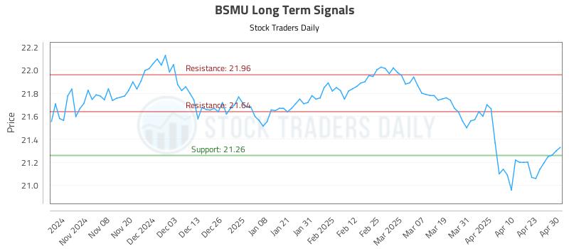 BSMU Long Term Analysis for April 30 2025 BSMU Long Term Analysis for April 30 2025