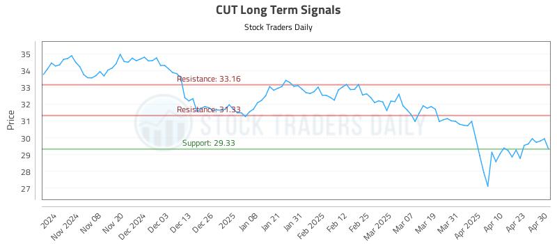 CUT Long Term Analysis for April 30 2025