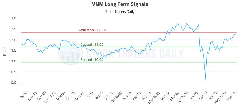 VNM Long Term Analysis for May 5 2025 VNM Long Term Analysis for May 5 2025