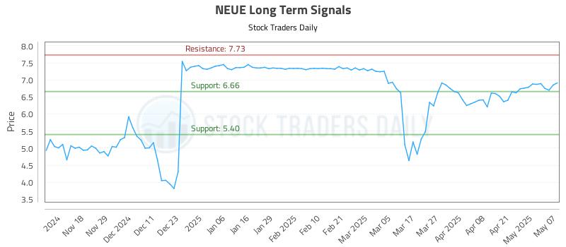 NEUE Long Term Analysis for May 8 2025