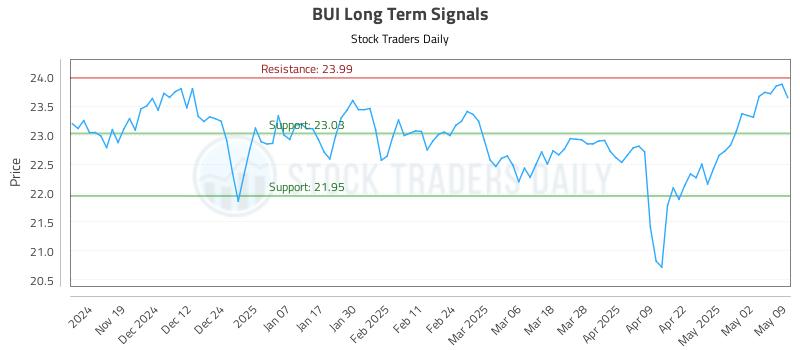 BUI Long Term Analysis for May 10 2025 BUI Long Term Analysis for May 10 2025