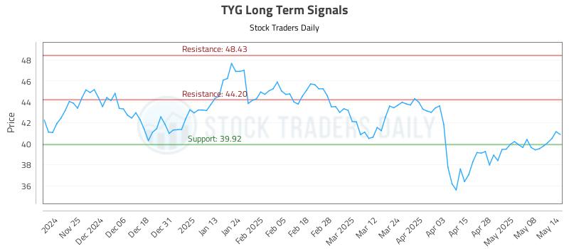 TYG Long Term Analysis for May 15 2025