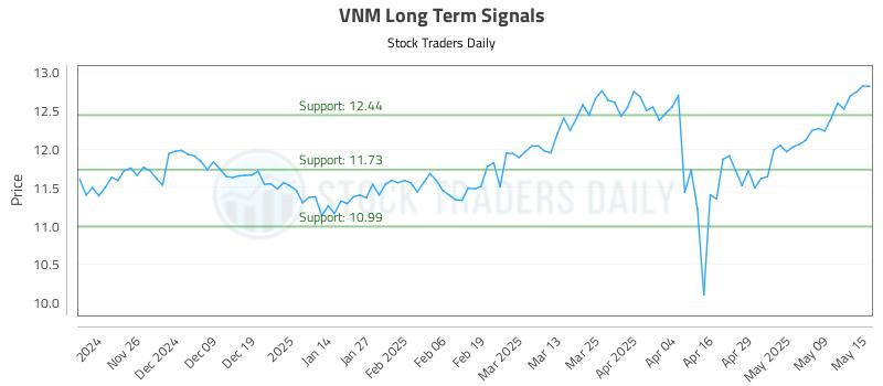 VNM Long Term Analysis for May 16 2025
