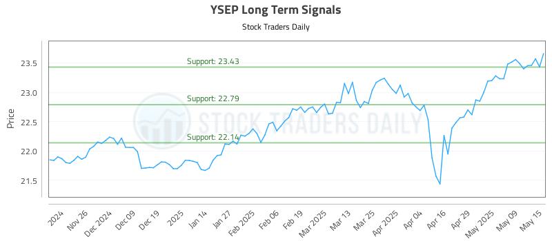 YSEP Long Term Analysis for May 16 2025