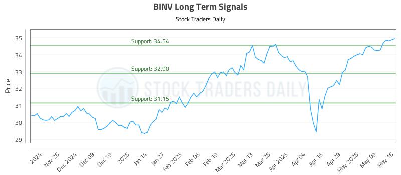 BINV Long Term Analysis for May 17 2025