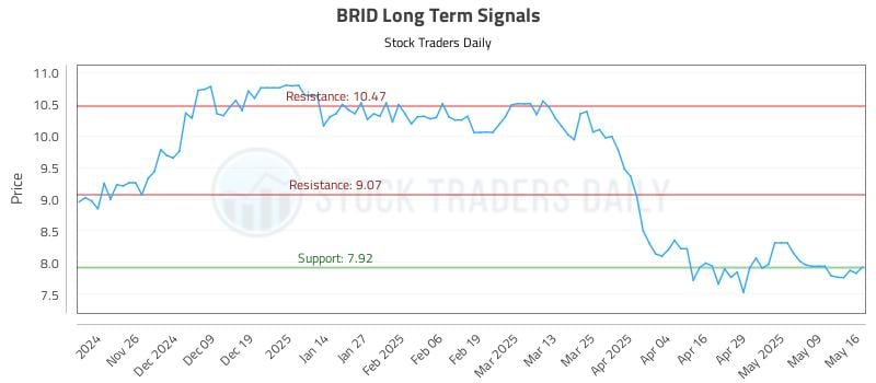 BRID Long Term Analysis for May 17 2025