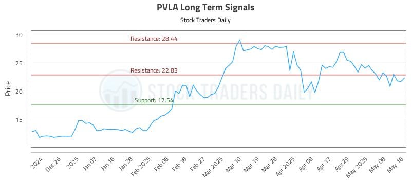 PVLA Long Term Analysis for May 18 2025