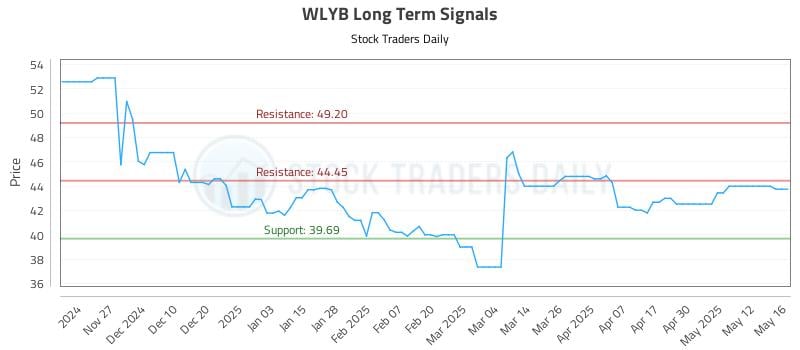 WLYB Long Term Analysis for May 19 2025