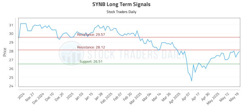 SYNB Long Term Analysis for May 19 2025