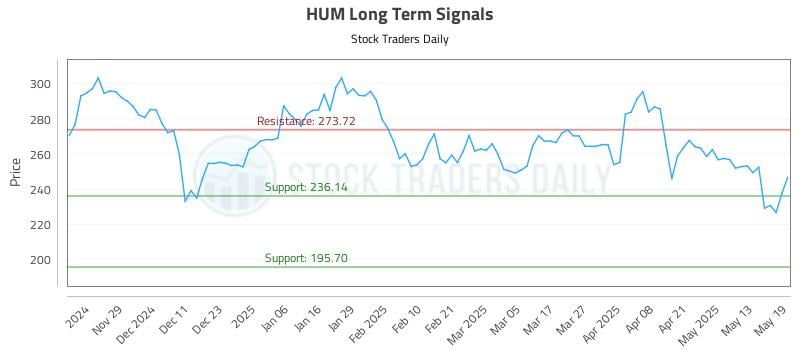 HUM Long Term Analysis for May 20 2025 HUM Long Term Analysis for May 20 2025