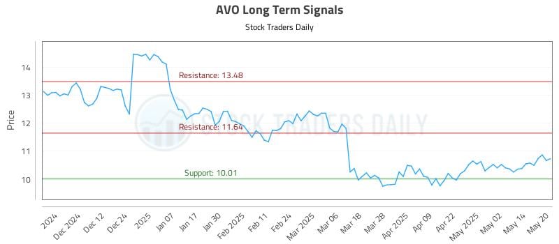 AVO Long Term Analysis for May 21 2025