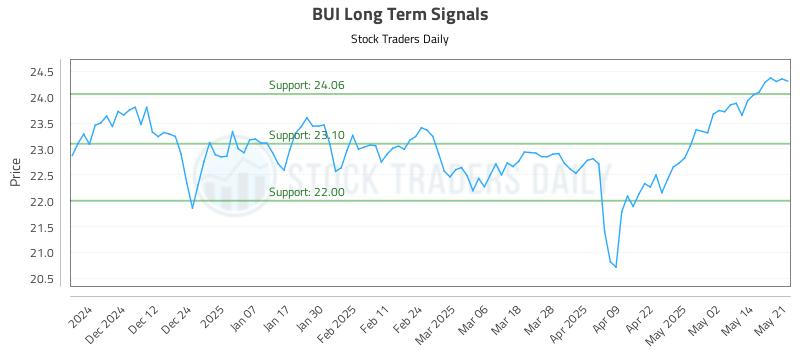 BUI Long Term Analysis for May 21 2025 BUI Long Term Analysis for May 21 2025