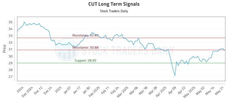 CUT Long Term Analysis for May 21 2025 CUT Long Term Analysis for May 21 2025