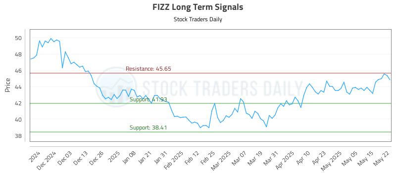 FIZZ Long Term Analysis for May 22 2025