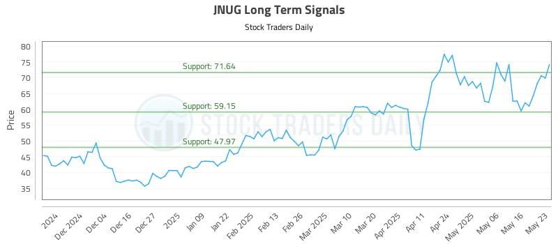 JNUG Long Term Analysis for May 23 2025