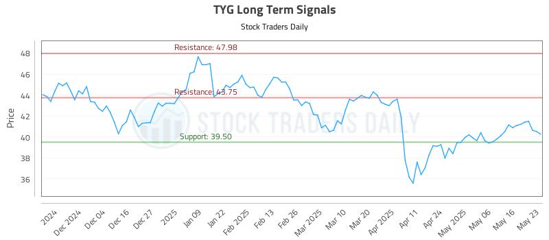 TYG Long Term Analysis for May 25 2025