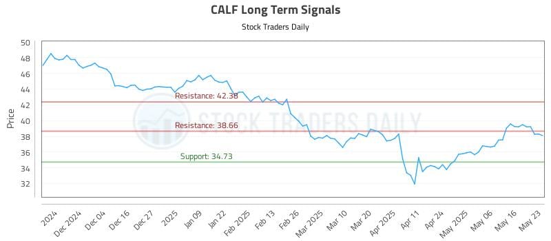 CALF Long Term Analysis for May 26 2025