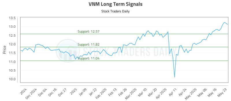 VNM Long Term Analysis for May 26 2025