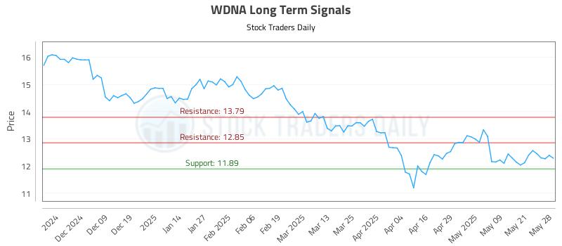 WDNA Long Term Analysis for May 29 2025