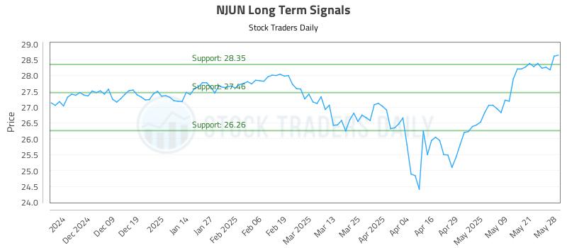 NJUN Long Term Analysis for May 29 2025