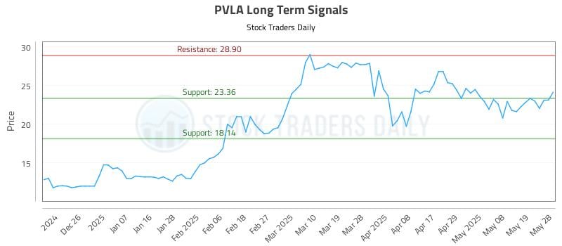 PVLA Long Term Analysis for May 29 2025