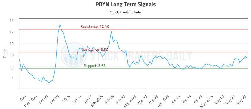 PDYN Long Term Analysis for May 29 2025
