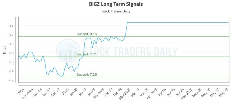 BIGZ Long Term Analysis for May 29 2025