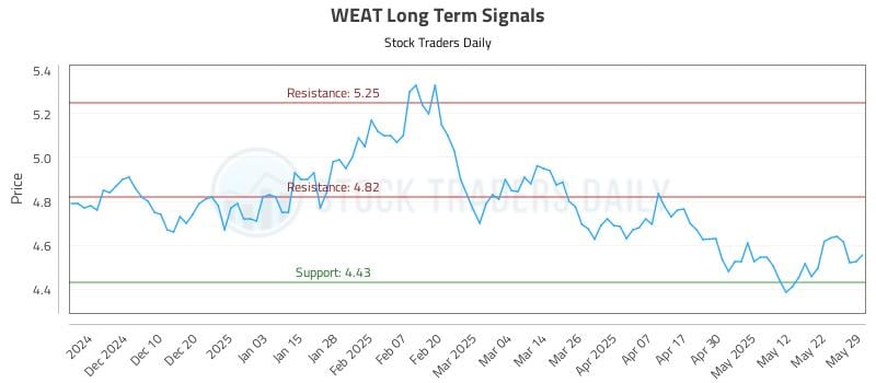 WEAT Long Term Analysis for May 30 2025