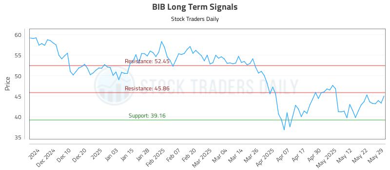 BIB Long Term Analysis for May 31 2025 BIB Long Term Analysis for May 31 2025