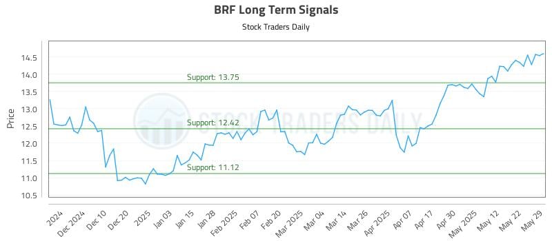 BRF Long Term Analysis for May 31 2025